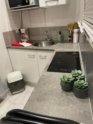 Le Petit Bois Apartman Nantes Kültér fotó